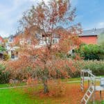 Smithaven-43-Barendrecht